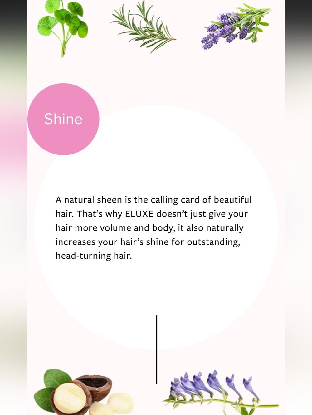 ELUXE Shampoo - Picture 3 of 4